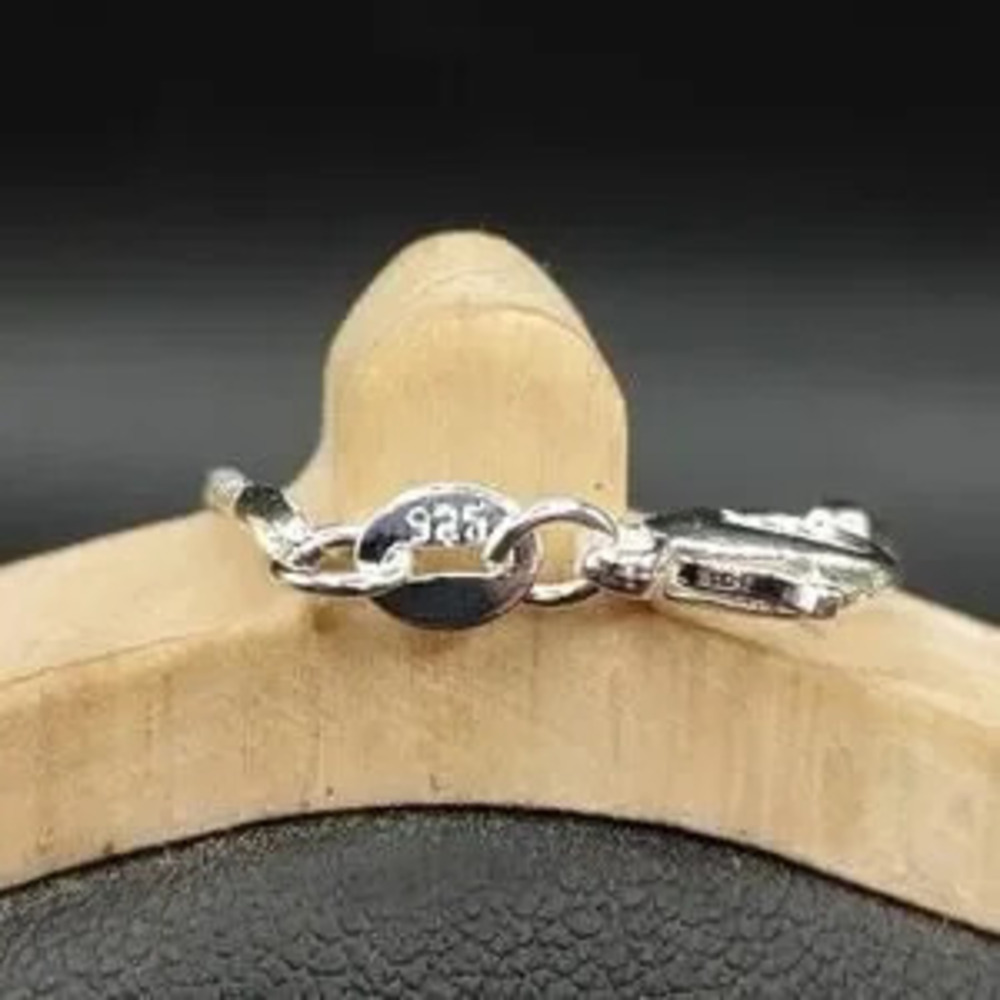 925 Sterling Silver Necklace w/ Dragonfly CZ Blue Auquamarine Women's Valentines